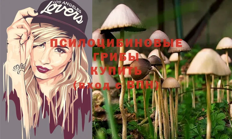 Галлюциногенные грибы MAGIC MUSHROOMS  где продают наркотики  мега как войти  Владивосток 